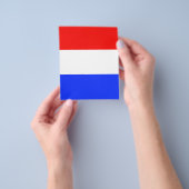 AANPASSINGSBARE rode, witte en blauwe brochure (Hand)