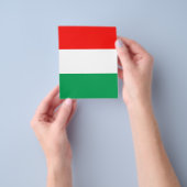 AANPASSINGSBARE rode, witte en groene brochure (Hand)