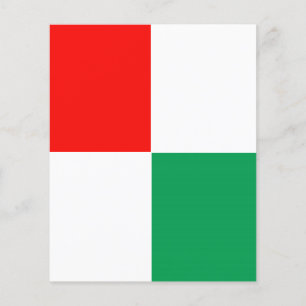 AANPASSINGSBARE rode, witte en groene brochure