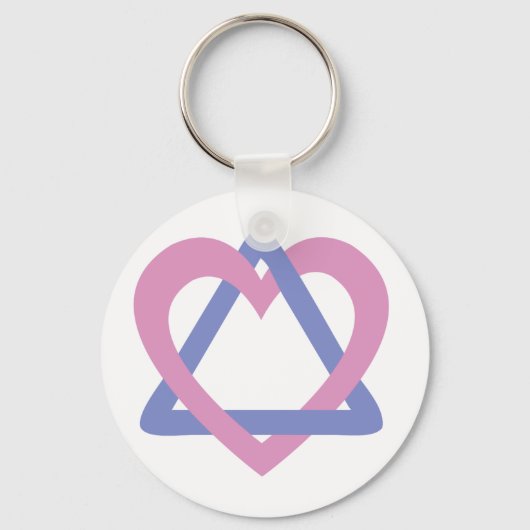 Aanpassingsdriehoek roze blauw sleutelhanger (Voorkant)