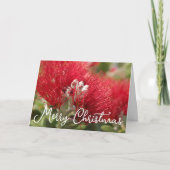 AANPASTBARE POHUTAKAWA KERST KIWI KAART (Voorkant)