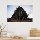Aanplant Poster (Keuken)