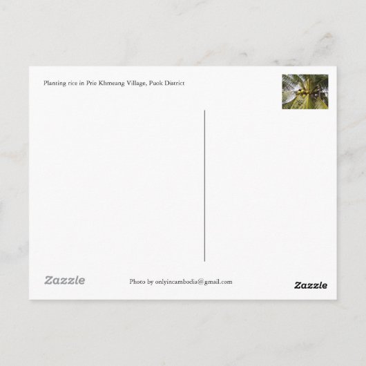 Aanplantrijst in het dorp Prie Khmeang, Siem Reap Briefkaart (Achterkant)