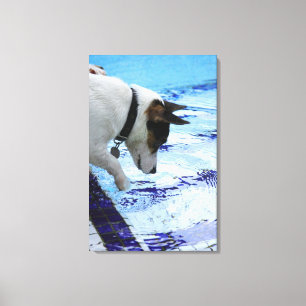 Aanraakpunt met water in het zwembad canvas afdruk