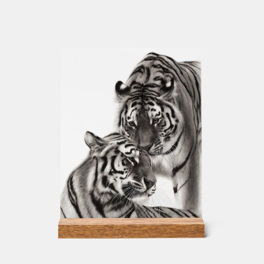 Aanraken - Handgeschilderd Origineel Tijger Kunstw Acryl Bord (Voorkant)