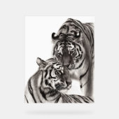 Aanraken - Handgeschilderd Origineel Tijger Kunstw Acryl Bord (Voorkant)