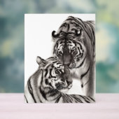 Aanraken - Handgeschilderd Origineel Tijger Kunstw Acryl Bord (Neutraal)