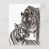 Aanraken - Handgeschilderd Origineel Tijger Kunstw Briefkaart (Voorkant)