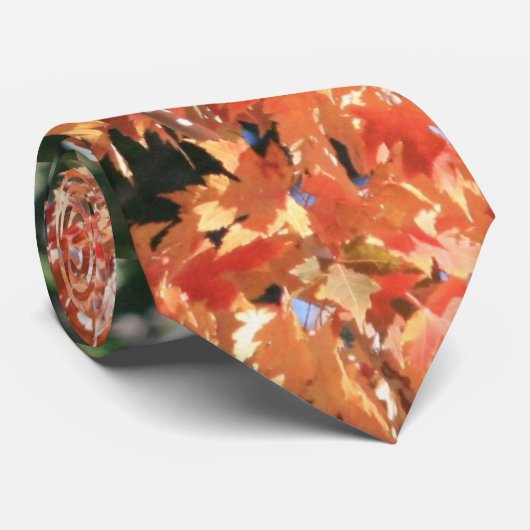 aanraking van de Herfst Stropdas (Opgerold)