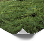 Aanraking van de Magische Stof Poster (Hoek)