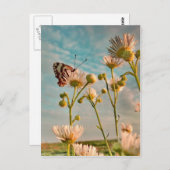 Aanraking van de magische stof van OZ Briefkaart (Voorkant / Achterkant)