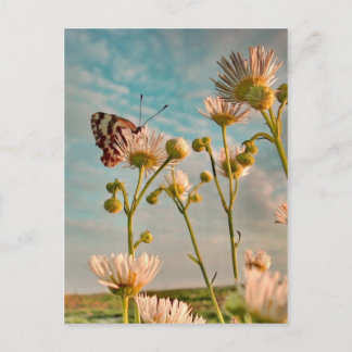 Aanraking van de magische stof van OZ Briefkaart