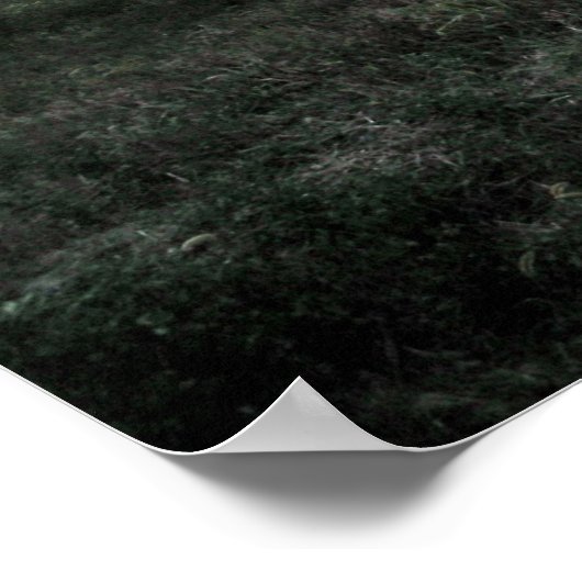 Aanraking van de Magische Stof van Oz Poster (Hoek)