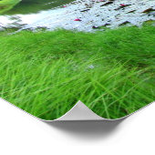 aanraking van de natuur poster (Hoek)