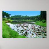 aanraking van de natuur poster (Voorkant)