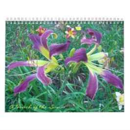 Aanraking van de zon Daylilies II Kalender