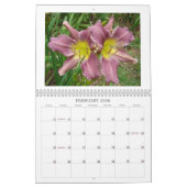 Aanraking van de zon Daylilies II Kalender (Feb 2026)