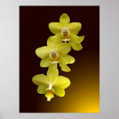 Aanraking van oosterse poster (Voorkant)