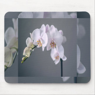 Aanraking van Witte Bloemen Muismat