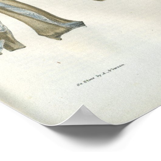 Aansluitingen van de anatomie van de elleboog en d poster (Hoek)