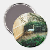 aanstaande moeder magneet (Voorkant / Achterkant)