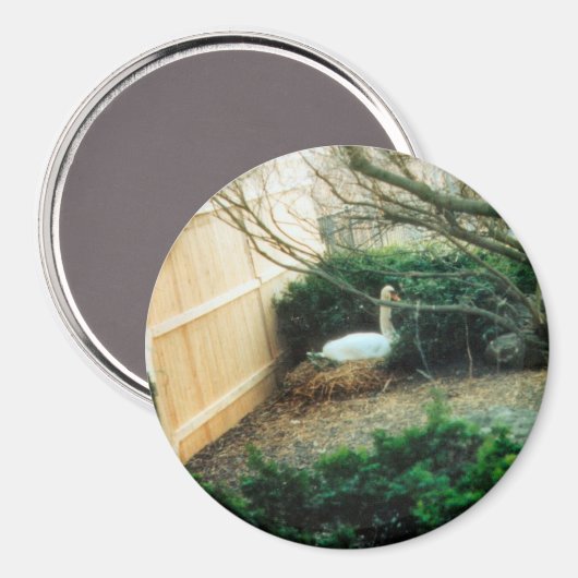 aanstaande moeder magneet (Voorkant / Achterkant)