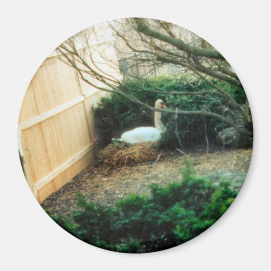 aanstaande moeder magneet (Voorkant)