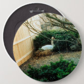 aanstaande moeder ronde button 6,0 cm (Voorkant /achterkant)