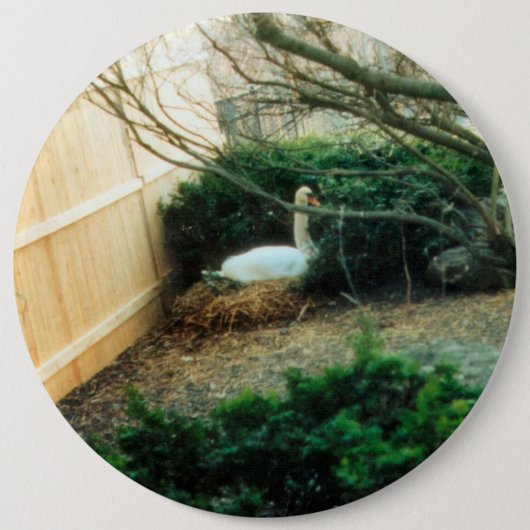 aanstaande moeder ronde button 6,0 cm (Voorkant)