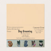 Aanstelling voor hondenverzorging en huisverzorgin visitekaartje (Buitenkant ongevouwen)