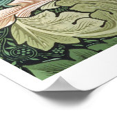 "Aantanthus" mapparaat, 1875 Poster (Hoek)