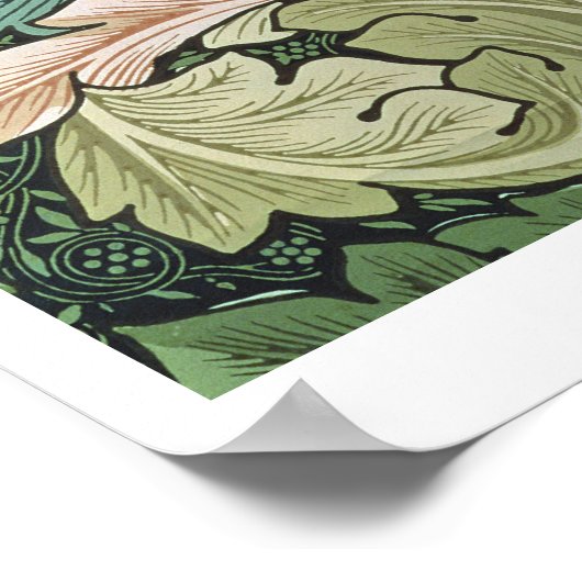 "Aantanthus" mapparaat, 1875 Poster (Hoek)