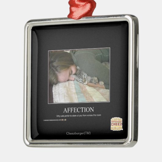 Aantasting Metalen Ornament (Links)