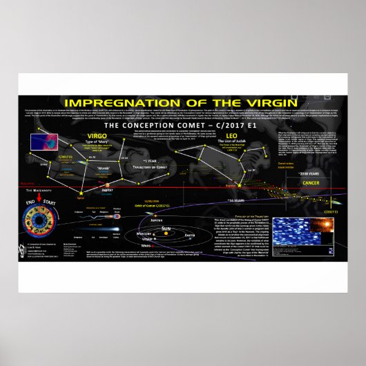 Aantekening 12 - Impregnatie van de maagd Poster (Voorkant)