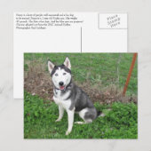 Aantrekkelijk Briefkaart (Voorkant / Achterkant)