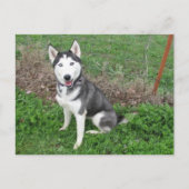 Aantrekkelijk Briefkaart (Voorkant)