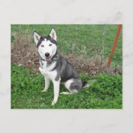 Aantrekkelijk Briefkaart