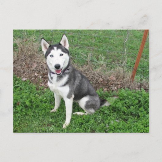 Aantrekkelijk Briefkaart (Voorkant)