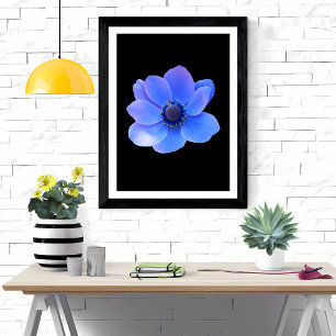 Aantrekkelijke blauwe anemoon foto afdruk