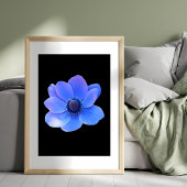 Aantrekkelijke blauwe anemoon foto afdruk