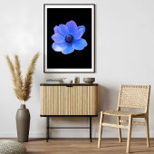 Aantrekkelijke blauwe anemoon foto afdruk