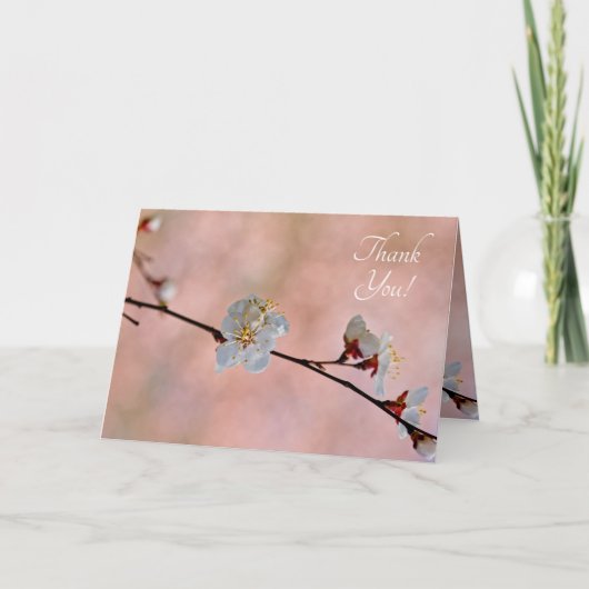 aantrekkelijke Japanse abrikozenbloemen Bedankkaart (Voorkant)