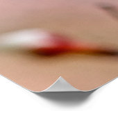 aantrekkelijke Japanse abrikozenbloemen Poster (Hoek)