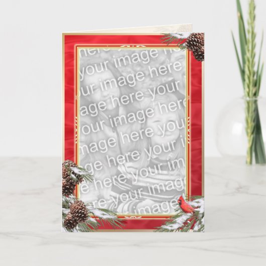 Aantrekkelijke kardinaal en dennenappels op een ro feestdagen kaart (Voorkant)
