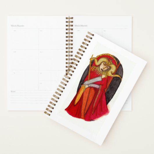 Aantrekkelijke TAROT Planner (Display)