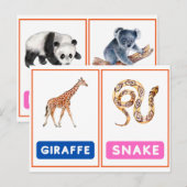 Aantrekkelijke Wild Animal Flashcards ,Panda, Koal Briefkaart (Voorkant / Achterkant)