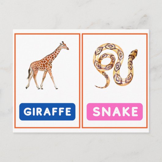 Aantrekkelijke Wild Animal Flashcards ,Panda, Koal Briefkaart (Voorkant)