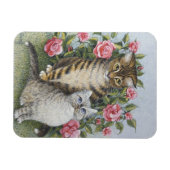 Aantrekking Magneet (Horizontaal)