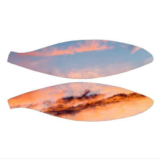 aantrekkingskracht basketbal (Panelen)