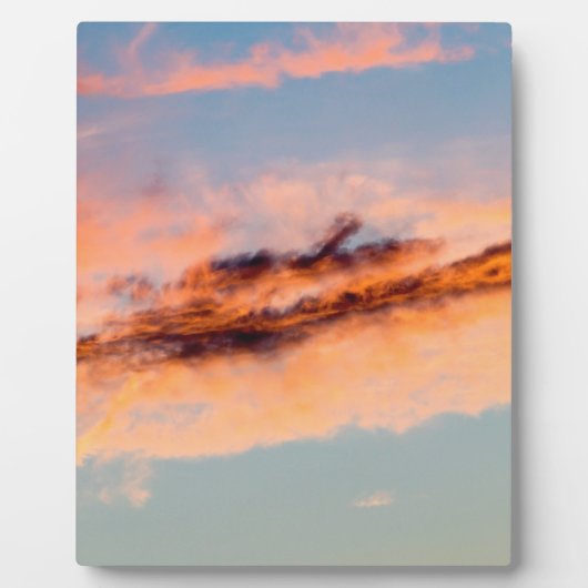 aantrekkingsverbruik fotoplaat (Voorkant)